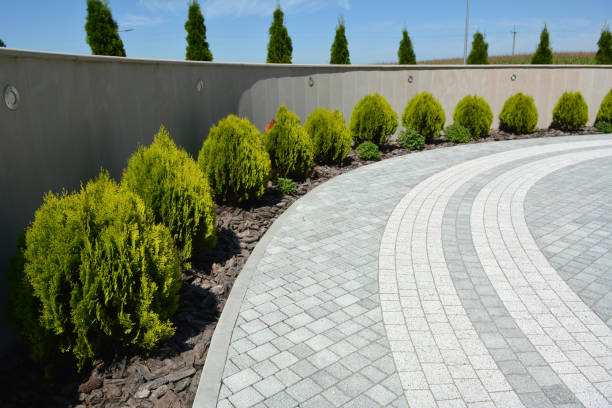Best Driveway Repair Near Me  in Canton, IL